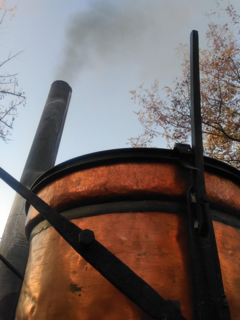 distillation lavande
